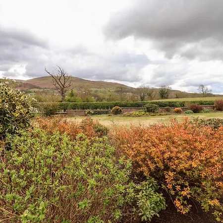 Dale View Σπίτι διακοπών *